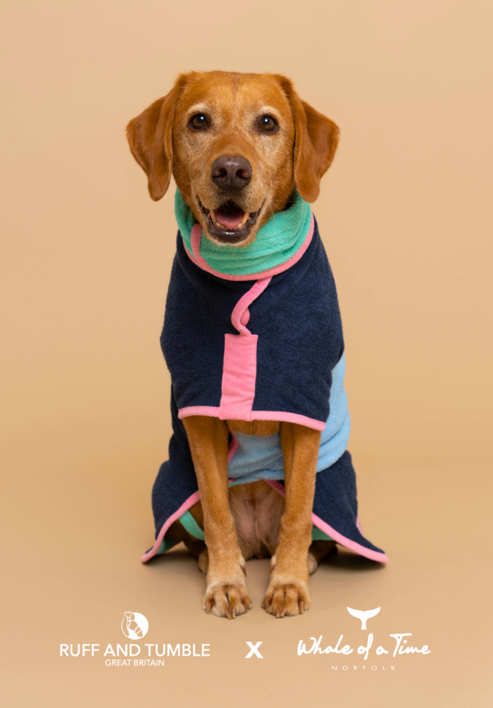 Evesham Dog Drying Coat - Navy