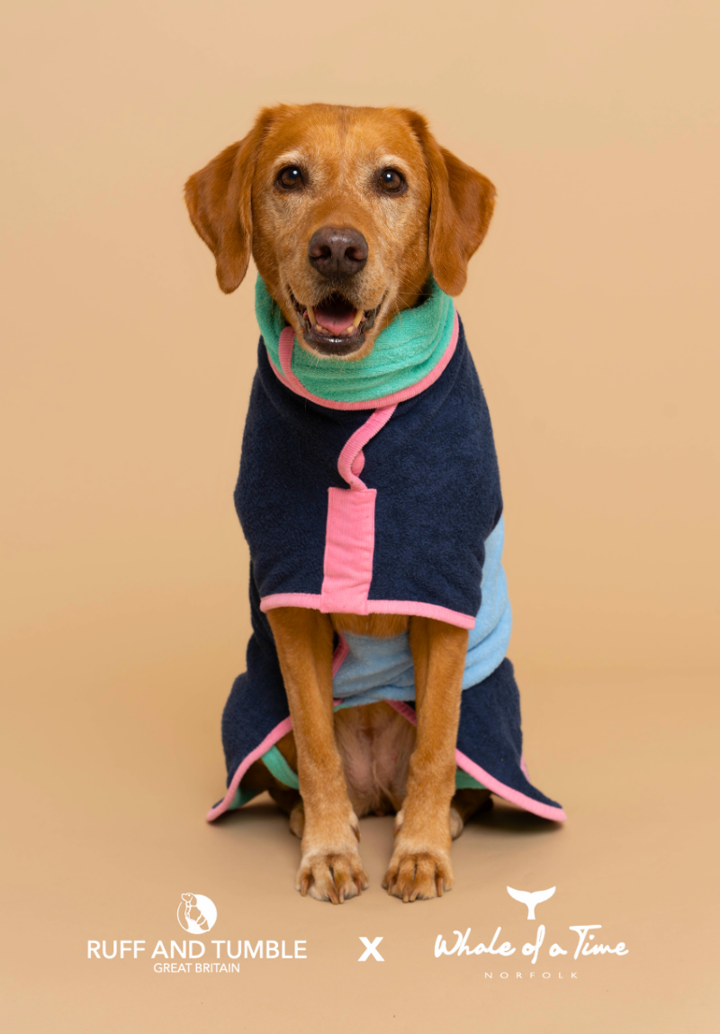Evesham Dog Drying Coat - Navy