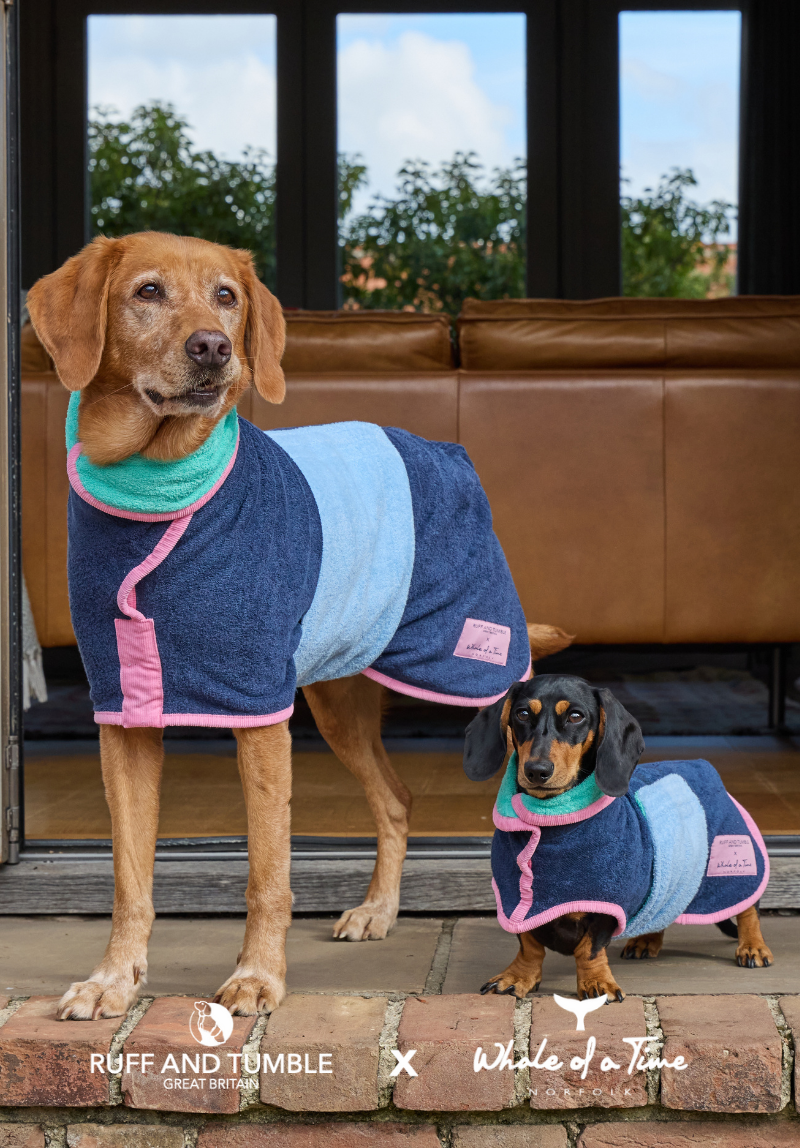 Evesham Dog Drying Coat - Navy