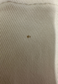 Signature Women's Mom Jeans 28" - Ecru #498