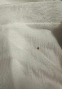 Thornham Women's Long Sleeved T-Shirt M - White #546