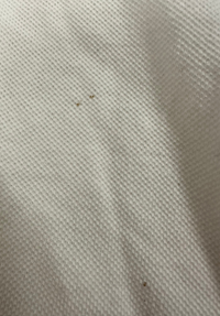 Polzeath Women's Cropped Polo Shirt XL - White #663