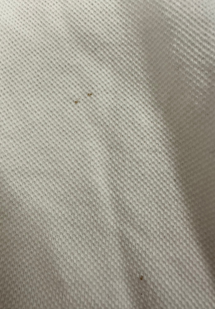 Polzeath Women's Cropped Polo Shirt XL - White #663