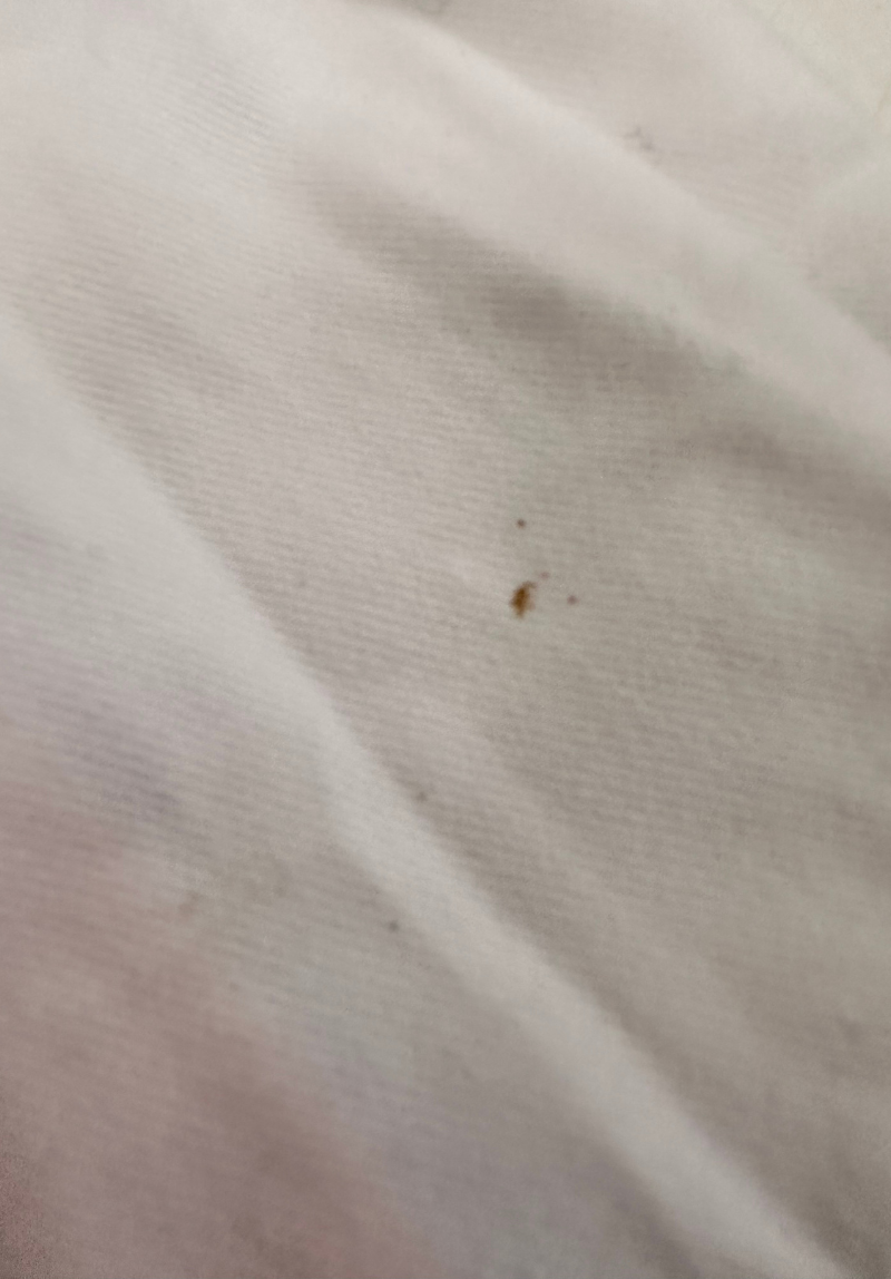 Whitecliff Cropped Women's Deck Shirt XL - White/Pink/Blue #664