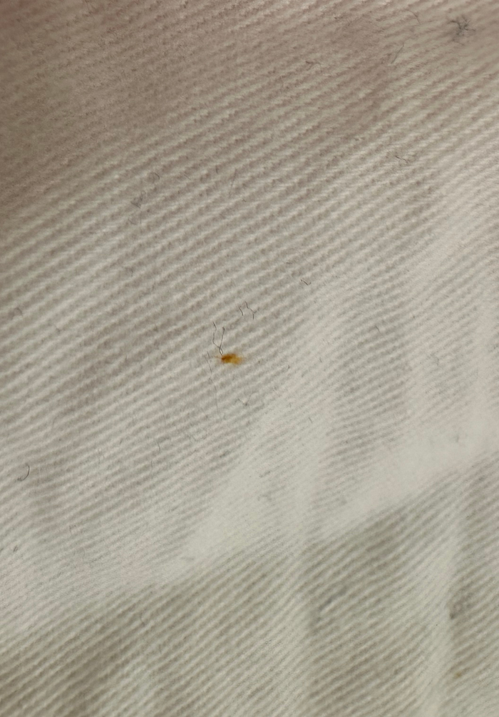 Whitecliff Cropped Women's Deck Shirt XS - White/Pink/Blue #667