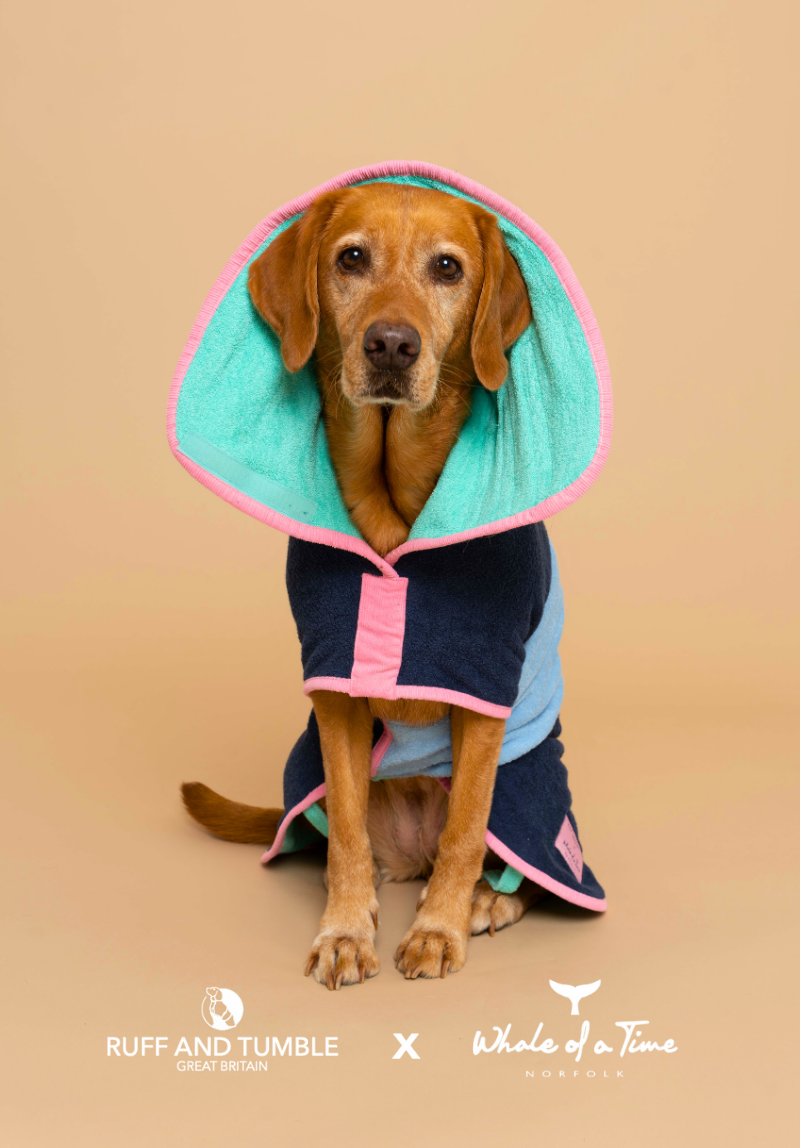 Evesham Dog Drying Coat - Navy