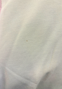 Polzeath Cropped Polo Shirt XL - White #784