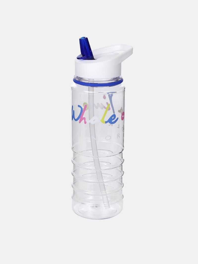 Basic Water Bottle - Whale Of A Time Clothing